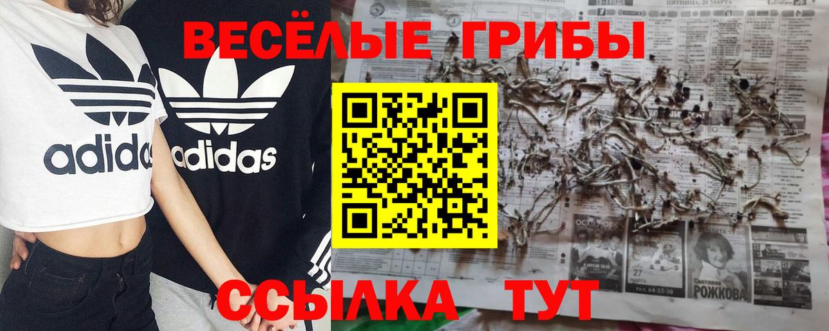 Псилоцибиновые грибы прущие грибы Апрелевка