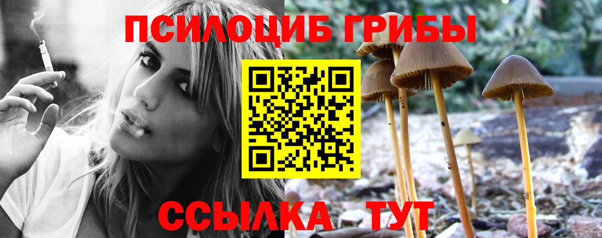 Апрелевка  Галлюциногенные грибы мицелий  Псилоцибиновые грибы Magic Shrooms  Вход с VPN 